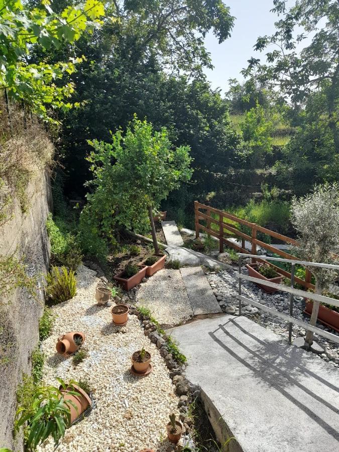 Vila Sikelia Etna House Zafferana Etnea Exteriér fotografie