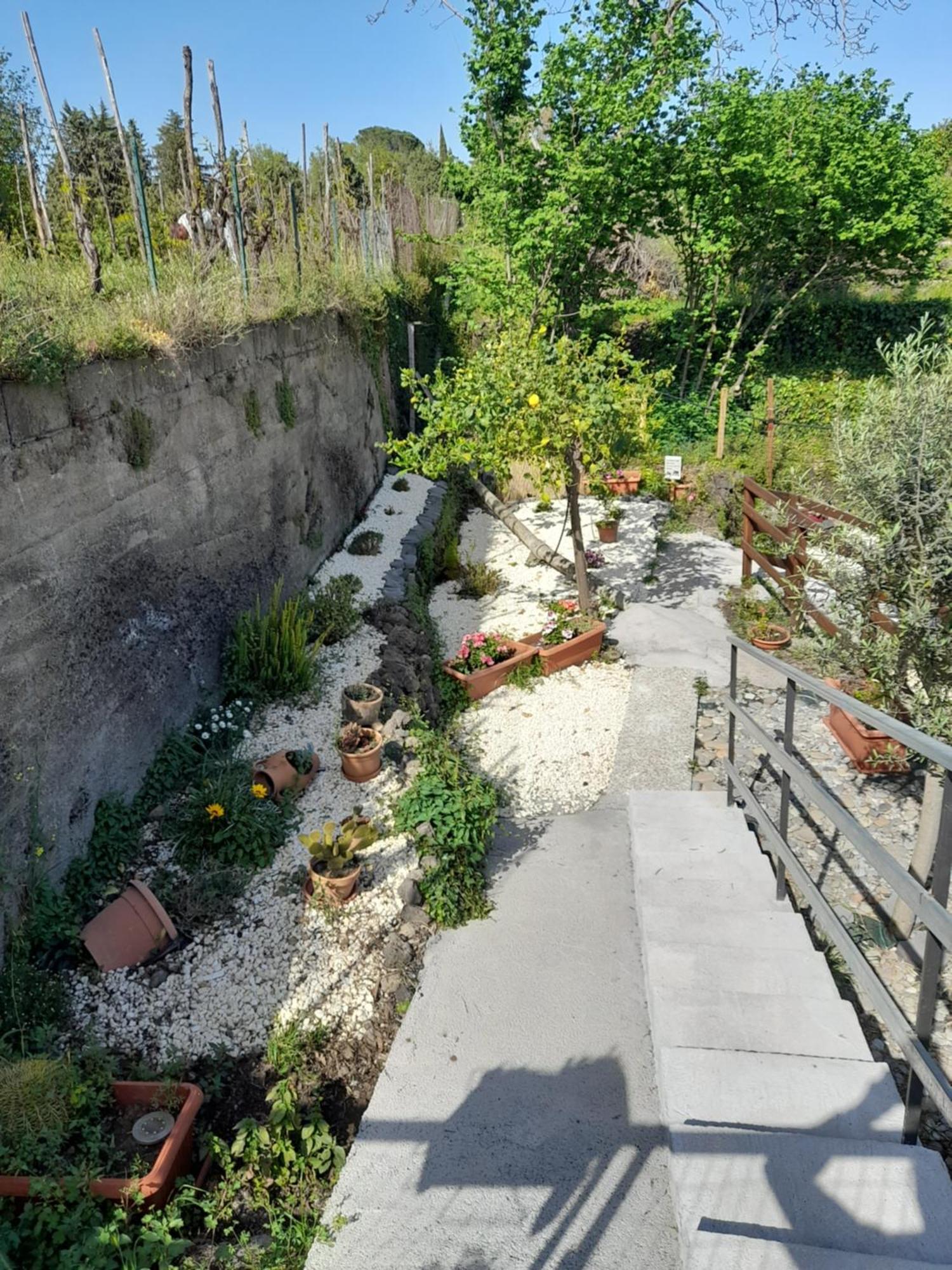 Vila Sikelia Etna House Zafferana Etnea Exteriér fotografie